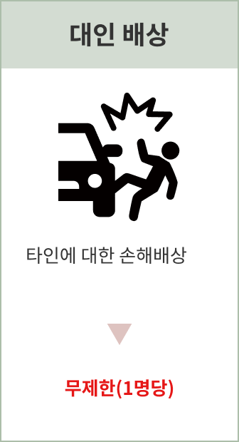 대인 배상: 1인당 무제한