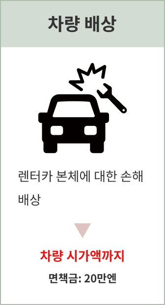 차량 보험: 1사고당 차량 시가까지, 자기부담금 20만 엔