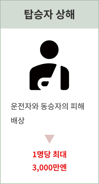 탑승자 상해: 1인당 최대 3,000만 엔